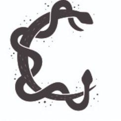 Constellation Cannabis logo